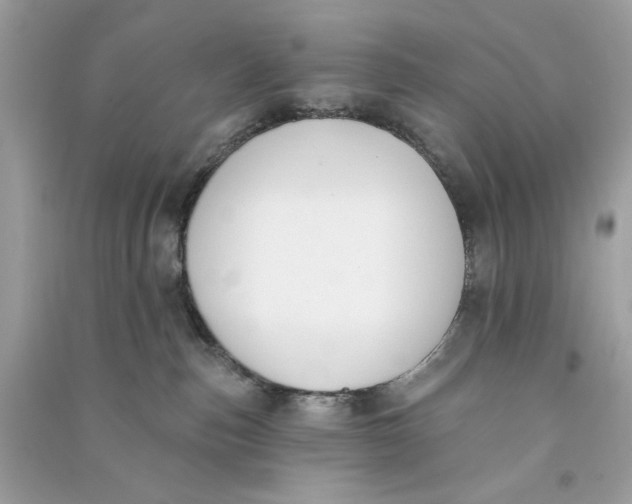 X0000090750187200708101733