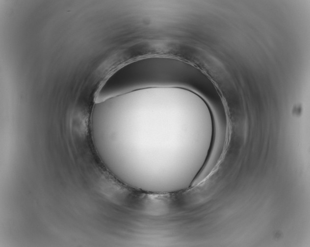 X0000090750188200708101733
