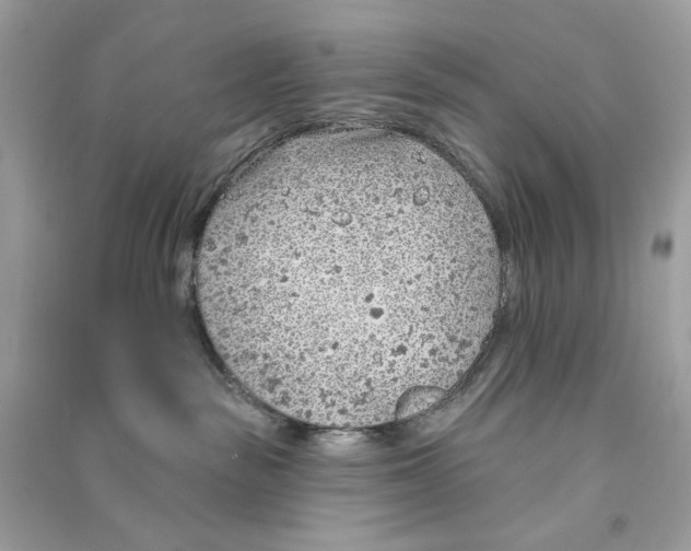 X0000090750189200708101733