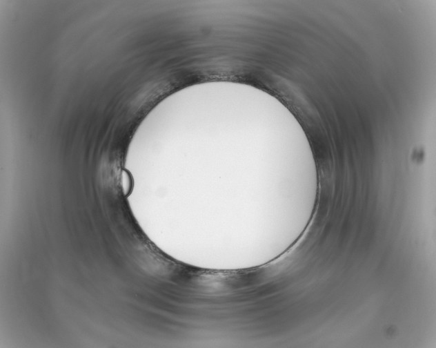 X0000090750190200708101733