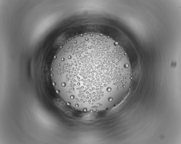 X0000090750191200708101733
