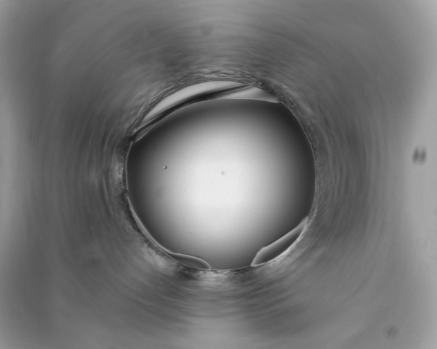 X0000090750192200708101733
