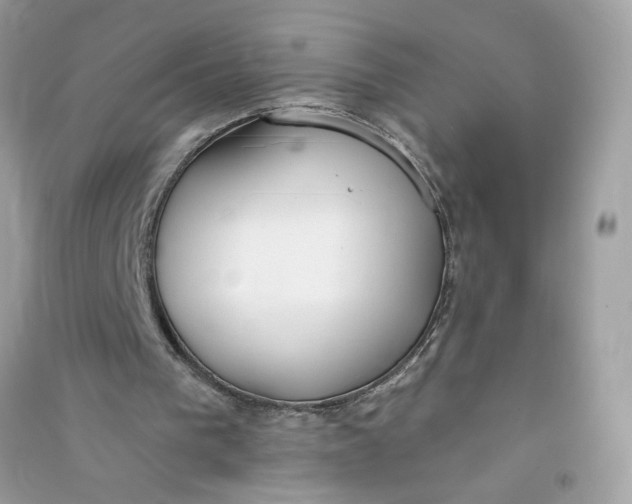 X0000090750193200708101732