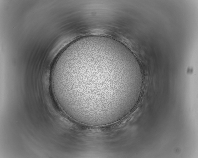 X0000090750194200708101732