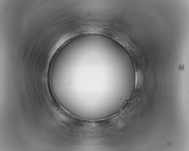 X0000090750195200708101732