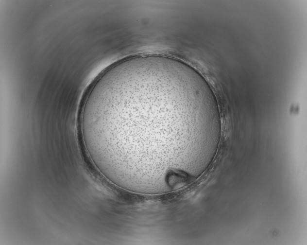 X0000090750196200708101732