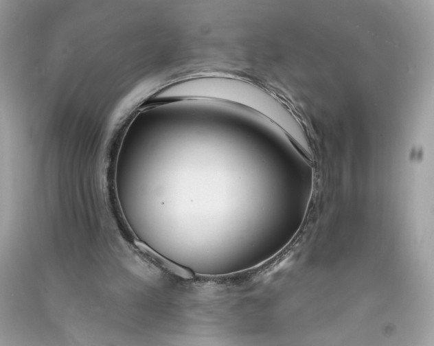 X0000090750197200708101732