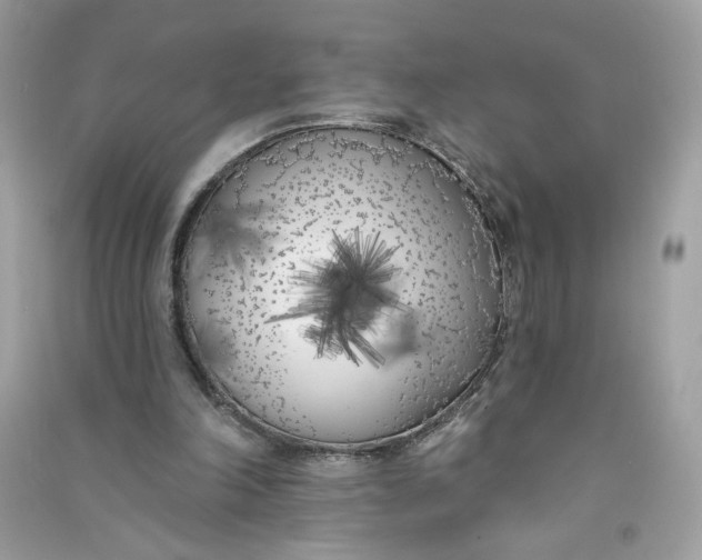 X0000090750198200708101732