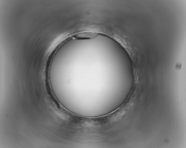 X0000090750199200708101732