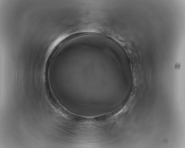 X0000090750200200708101732