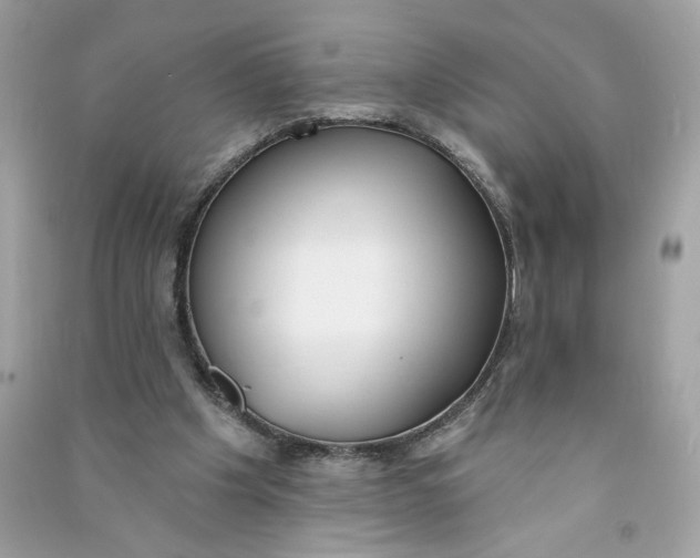 X0000090750201200708101732