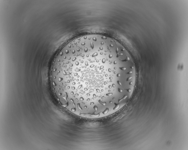 X0000090750202200708101732