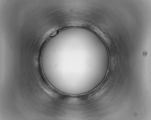 X0000090750203200708101732