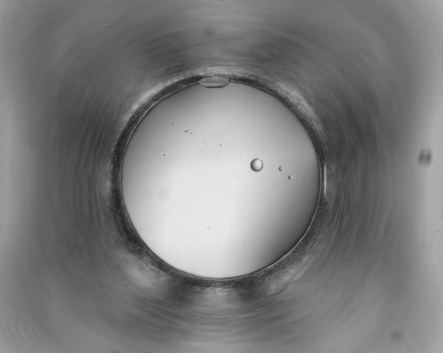 X0000090750204200708101732