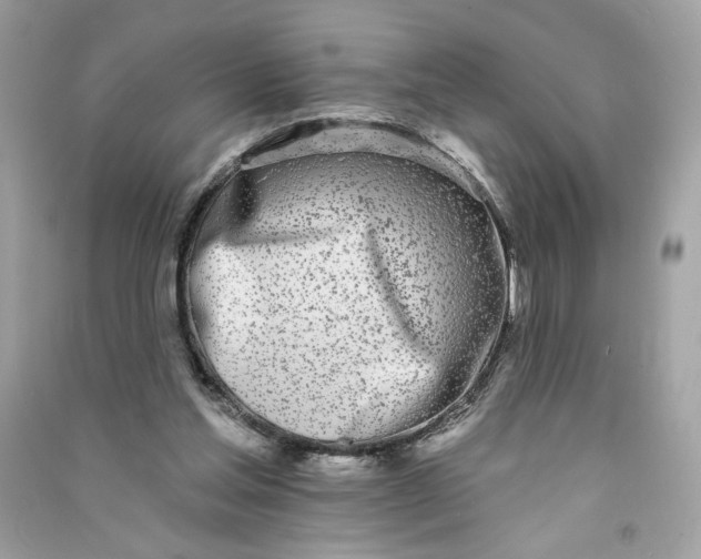 X0000090750205200708101732