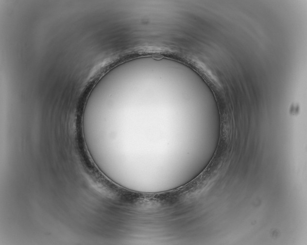 X0000090750207200708101732