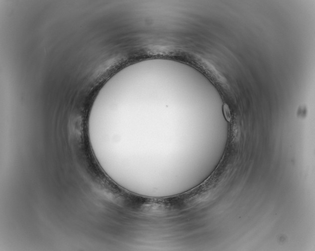 X0000090750211200708101732