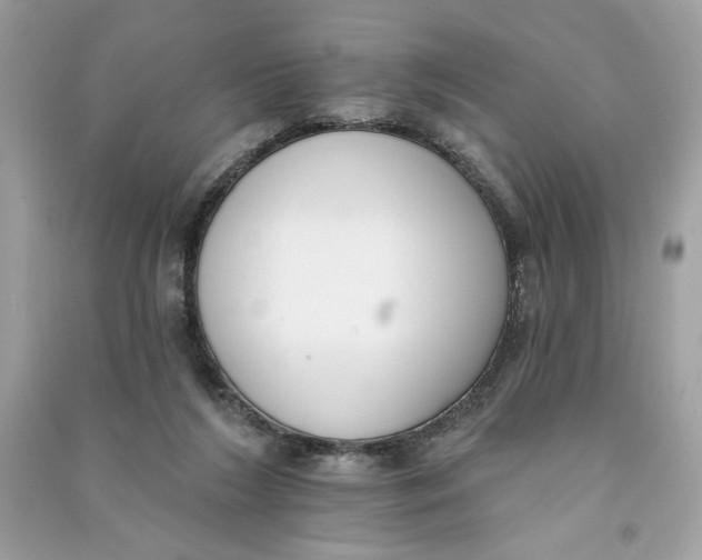 X0000090750212200708101732