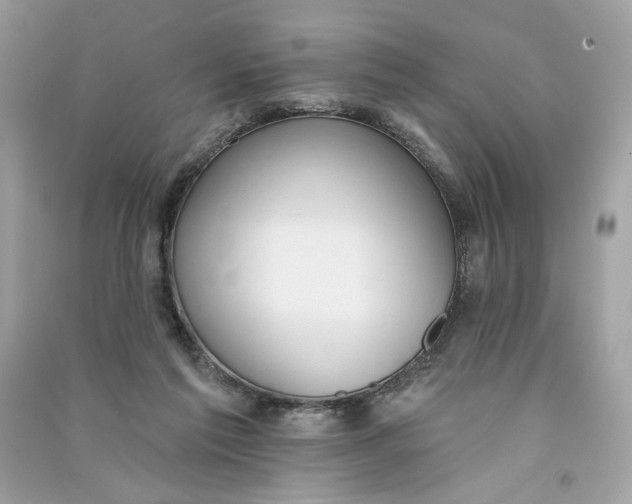 X0000090750213200708101732