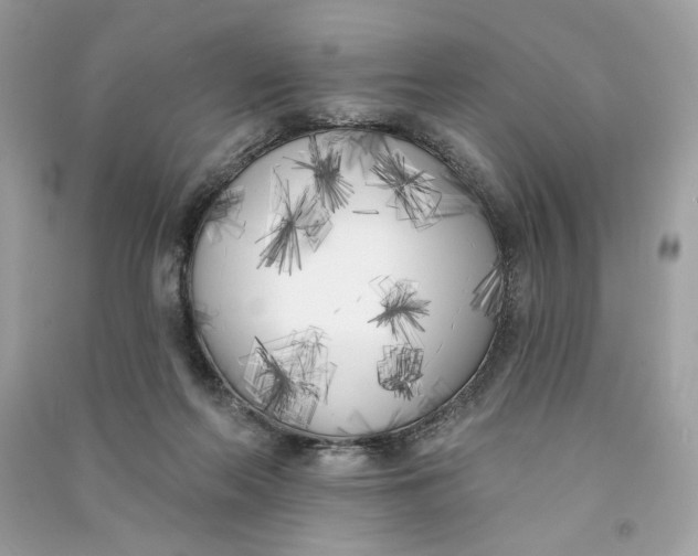 X0000090750214200708101732