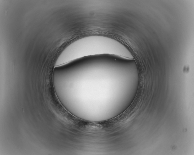 X0000090750215200708101732