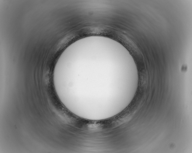 X0000090750216200708101732