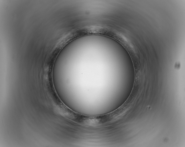 X0000090750217200708101732