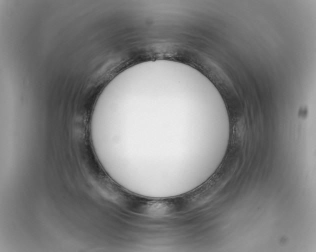 X0000090750218200708101732