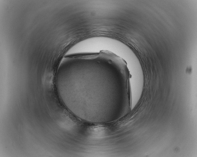 X0000090750219200708101732