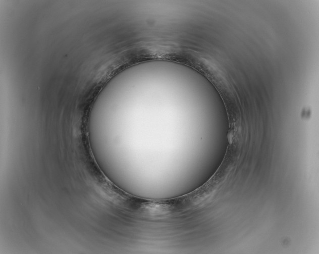 X0000090750221200708101732