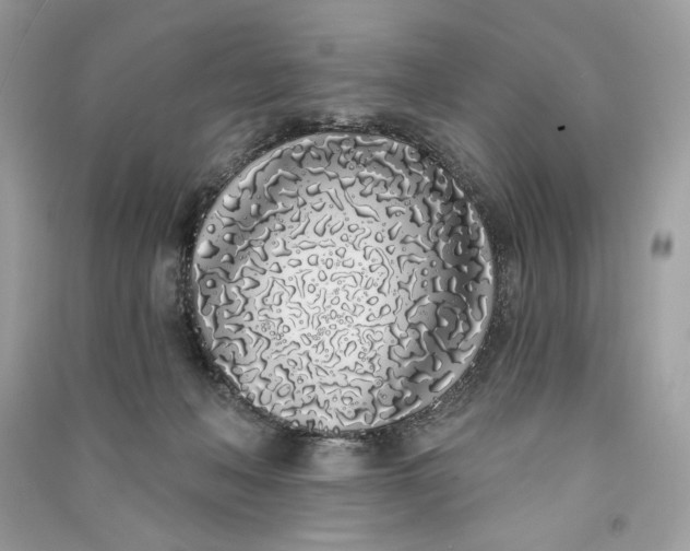 X0000090750222200708101732