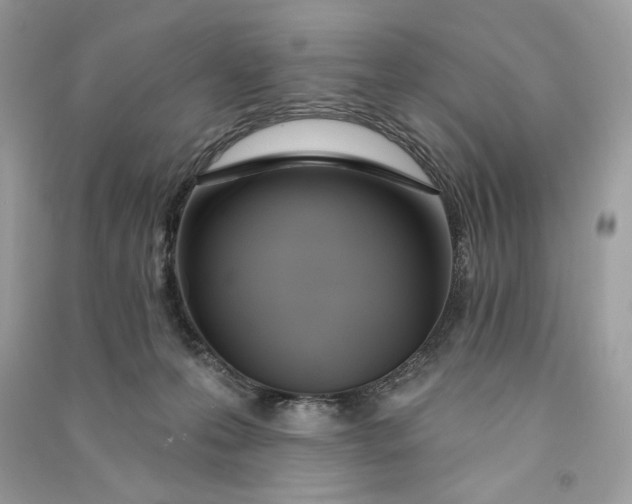 X0000090750223200708101732