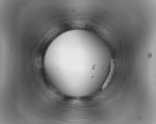 X0000090750224200708101732