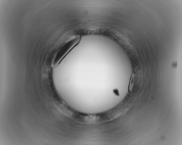 X0000090750225200708101732