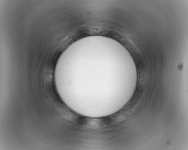 X0000090750226200708101732