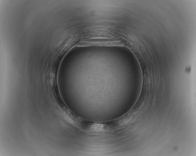 X0000090750227200708101732