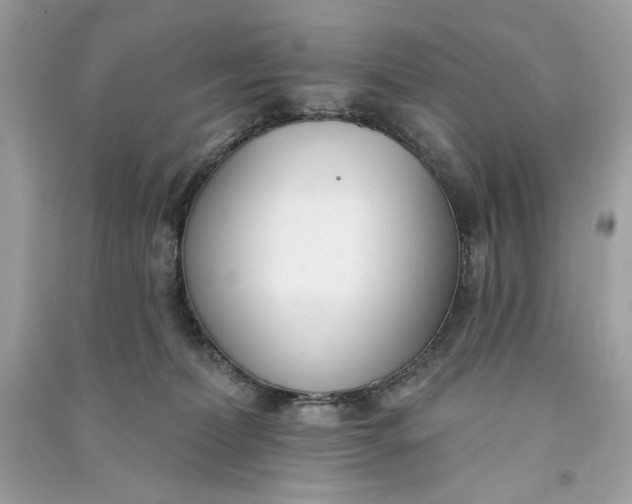 X0000090750228200708101732