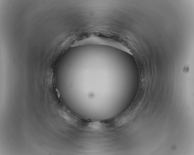 X0000090750231200708101732