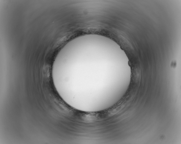 X0000090750232200708101732