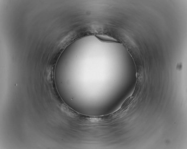 X0000090750233200708101732