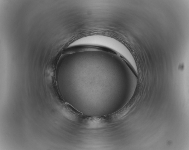 X0000090750235200708101732