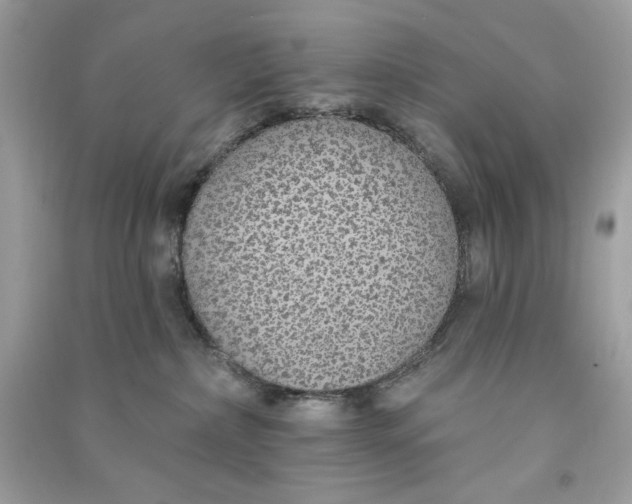 X0000090750236200708101732