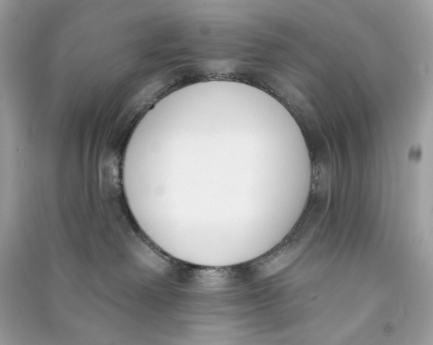 X0000090750238200708101732