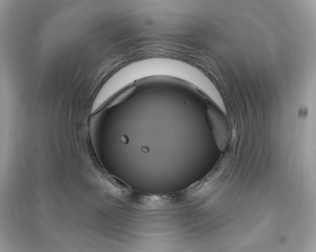 X0000090750239200708101732