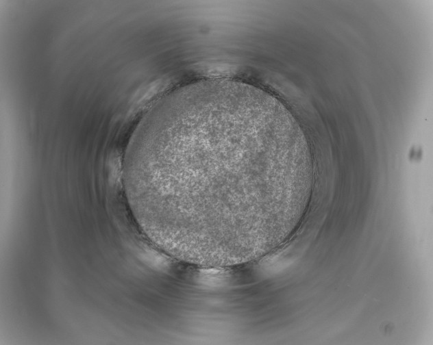 X0000090750240200708101732
