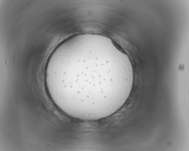 X0000090750241200708101731