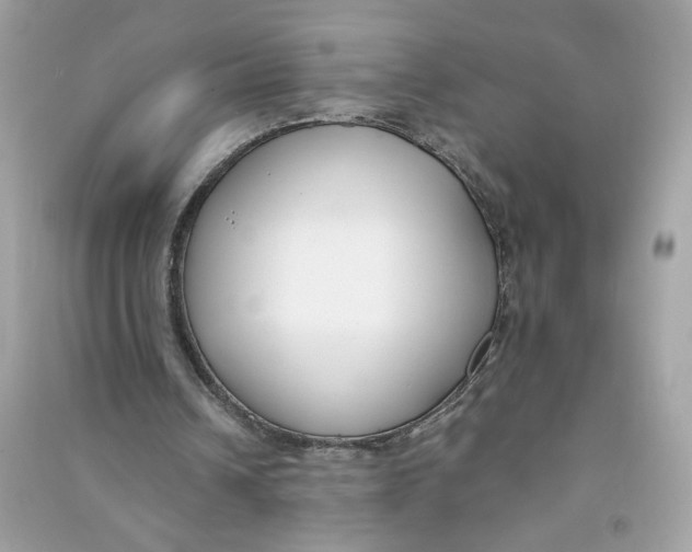X0000090750242200708101731