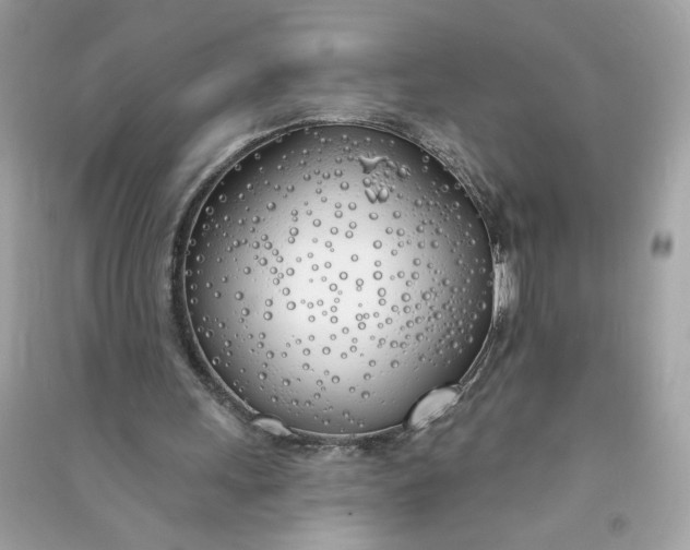 X0000090750243200708101731