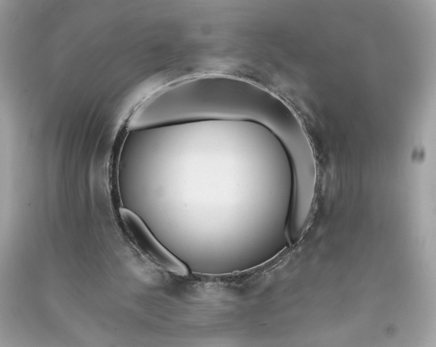 X0000090750244200708101731