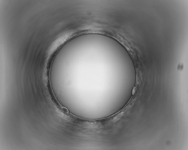 X0000090750245200708101731